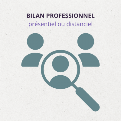 Bilan professionnel site cg 2